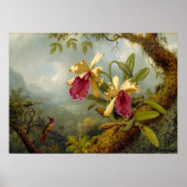 Martin Johnson Heade - Orchids und Kolibri Poster (Vorne)