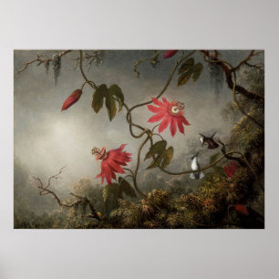 Martin Johnson Heade - Passion Blume und Humming Poster