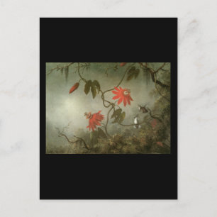 Martin Johnson Heade Passion Blume und Hummingbi Postkarte