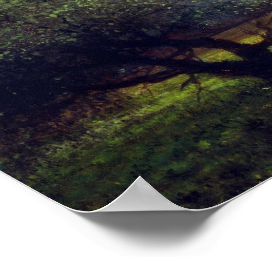 Martin Johnson Heade Sunlight Shadow Newbury Marsh Poster (Ecke)