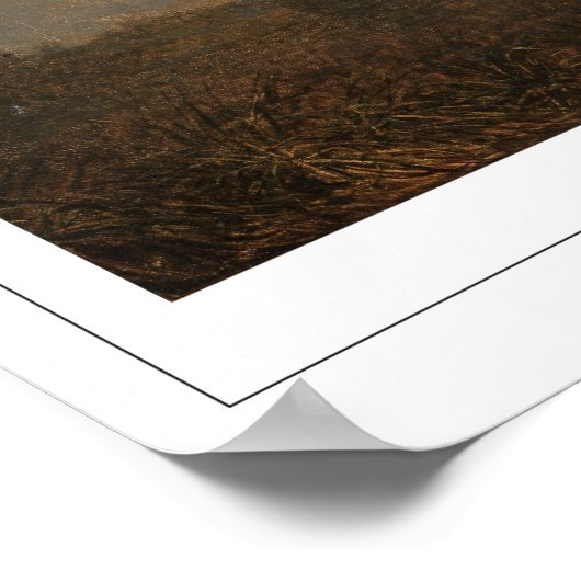 Martin Johnson Heade Zedign Art Poster #10 (Ecke)