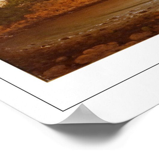 Martin Johnson Heade Zedign Art Poster #102 (Ecke)