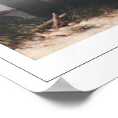 Martin Johnson Heade Zedign Art Poster #260 (Ecke)