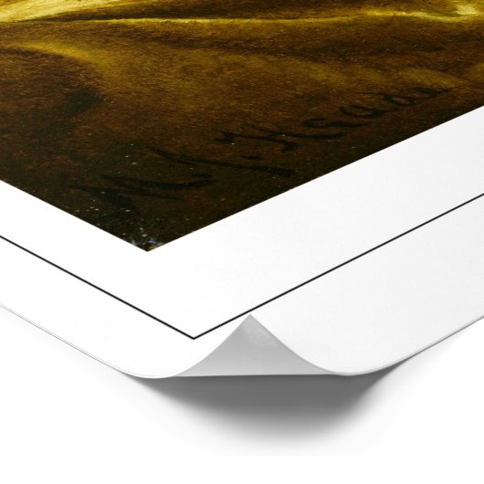 Martin Johnson Heade Zedign Art Poster #27 (Ecke)