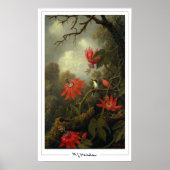 Martin Johnson Heade Zedign Art Poster #36 (Vorne)