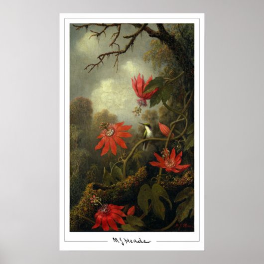 Martin Johnson Heade Zedign Art Poster #36 (Vorne)