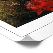 Martin Johnson Heade Zedign Art Poster #36 (Ecke)