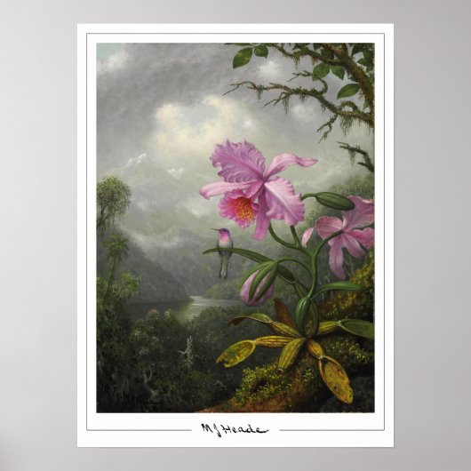 Martin Johnson Heade Zedign Art Poster #4 (Vorne)