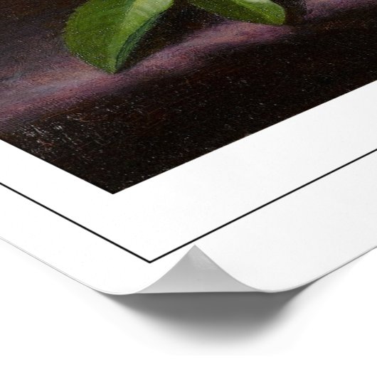 Martin Johnson Heade Zedign Art Poster #52 (Ecke)