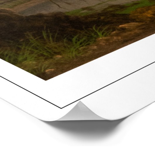 Martin Johnson Heade Zedign Art Poster #56 (Ecke)