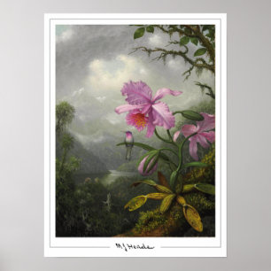 Martin Johnson Heade Zedign Kunstposter #4 Poster