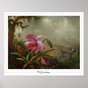Martin Johnson Heade Zedign Kunstposter #51 Poster