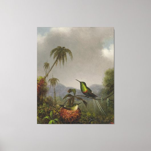 MARTIN JOHNSON HEADE - ZWEI DORN-SCHWÄNZE - 1864-6 LEINWANDDRUCK (Vorderseite)