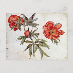 Martin Schongauer: Erforschung von Peonies Postkarte