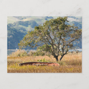 Martinez Shoreline Boat and Tree Postcard Postkarte
