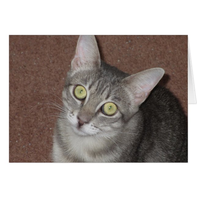 Martini (Vorderseite (Horizontal))