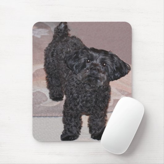 Martini das Yorkie-Poo Mousepad (Mit Mouse)