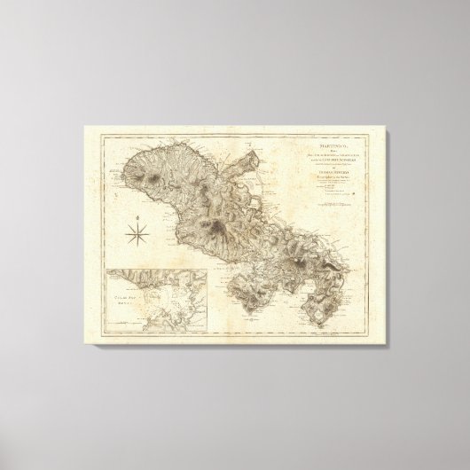 Martinico Leinwanddruck (Vorderseite)