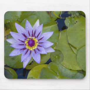 Martinique, französische Antillen, West Indies, B Mousepad