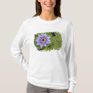 Martinique, französische Antillen, West Indies, B T-Shirt