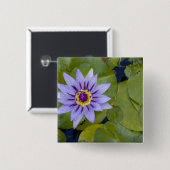 Martinique, französische Antillen, West Indies, Bl Button (Vorne & Hinten)