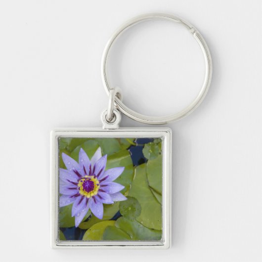 Martinique, französische Antillen, West Indies, Bl Schlüsselanhänger (Vorne)