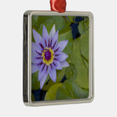 Martinique, französische Antillen, West Indies, Bl Silbernes Ornament (Rechts)