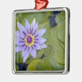 Martinique, französische Antillen, West Indies, Bl Silbernes Ornament (Links)