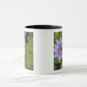 Martinique, französische Antillen, West Indies, Bl Tasse (Zentrum)