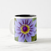 Martinique, französische Antillen, West Indies, Bl Zweifarbige Tasse (Vorderseite Links)