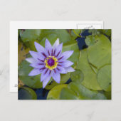 Martinique, französische Antillen, Westindien, Bla Postkarte (Vorne/Hinten)