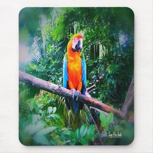 Martinique Macaw Mousepad (Vorne)