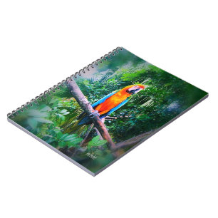 Martinique Macaw Notizblock