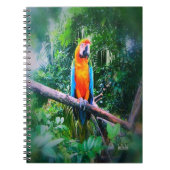 Martinique Macaw Notizblock (Vorderseite)
