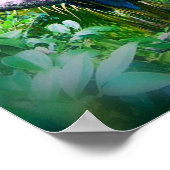 Martinique Macaw Poster (Ecke)