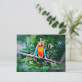 Martinique Macaw Postkarte (Stehend Vorderseite)