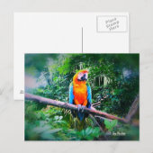 Martinique Macaw Postkarte (Vorne/Hinten)