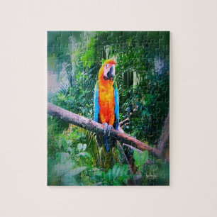 Martinique Macaw Puzzle
