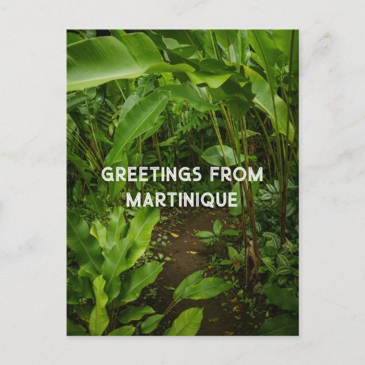 Martinique tropical garden,  travel postkarte (Vorderseite)