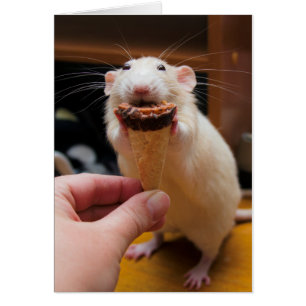 Marty Eating Ice Creme