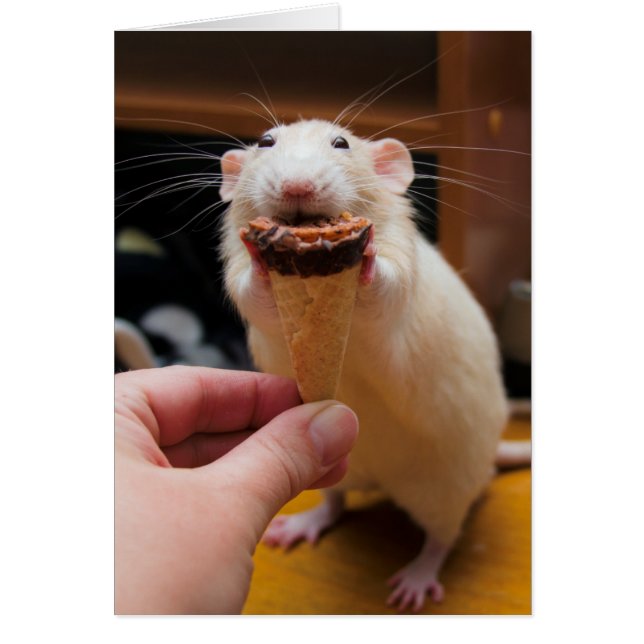 Marty Eating Ice Creme (Vorne)