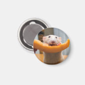 Marty Mouse Canaloop Magnet (Vorderseite/Rückseite)