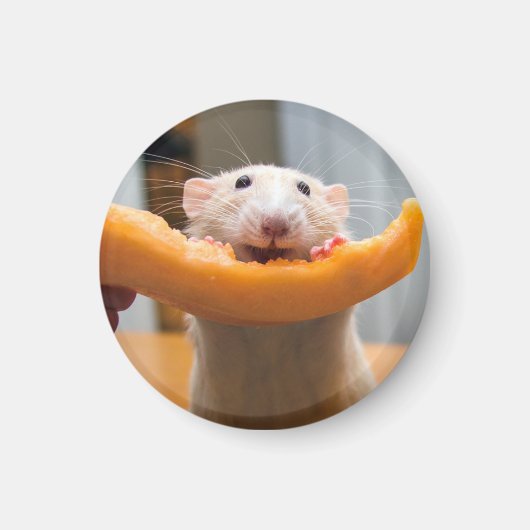 Marty Mouse Canaloop Magnet (Vorne)