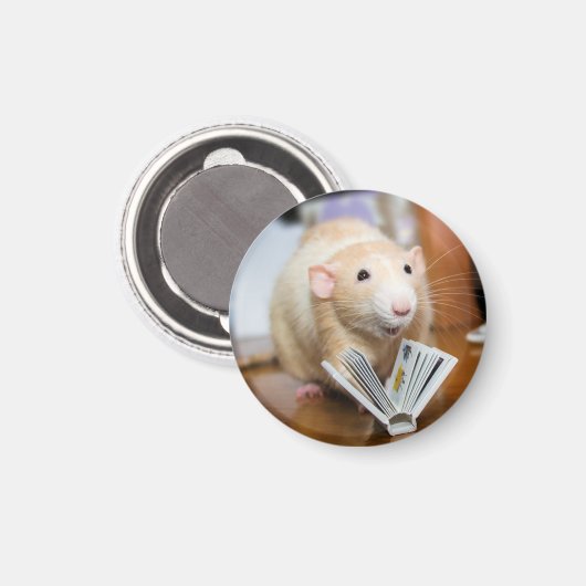 Marty Mouse-Lieben zum Lesen von Magnet (Vorderseite/Rückseite)