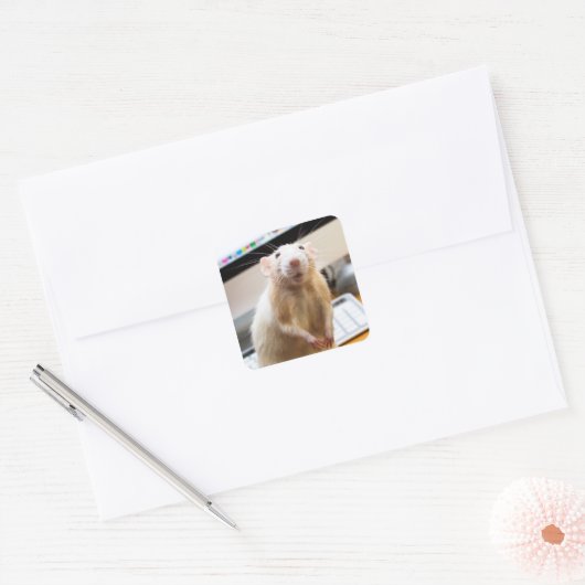 Marty Mouse Stickers - Standin' Tall (Umschlag)