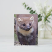 Marty Postcard Postkarte (Stehend Vorderseite)