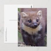 Marty Postcard Postkarte (Vorne/Hinten)