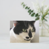 Marty Postkarte (Stehend Vorderseite)