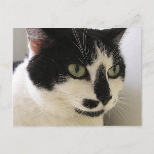 Marty Postkarte