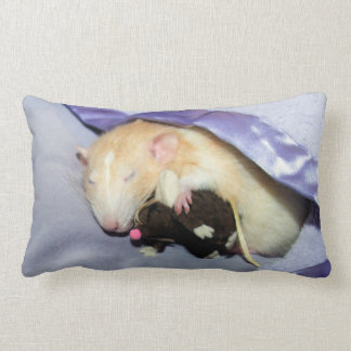 Marty Sleeping with RatTeddy 16x16 Pillow Lendenkissen
